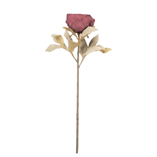 Clayre &amp; Eef   | Kunstbloem Rood Groen 11x11x62 cm | 5PL0266R