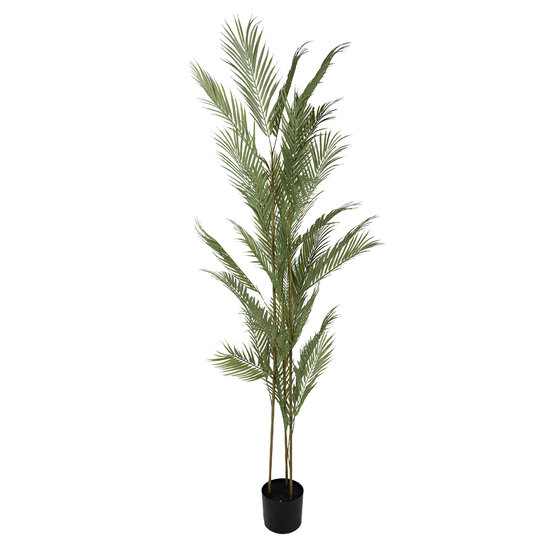 Clayre &amp; Eef   | Kunstplant Palm Groen Zwart 25x25x180 cm | 5PL0231