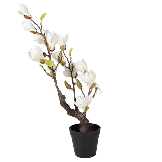Clayre &amp; Eef   | Decoratie Magnolia boom 16x14x60 cm | 5PL0206