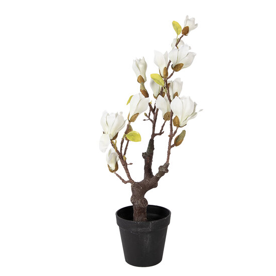 Clayre &amp; Eef   | Decoratie Magnolia boom 16x14x60 cm | 5PL0206