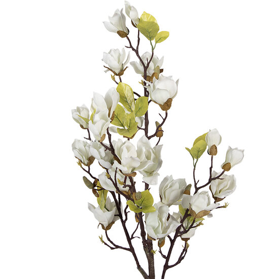 Clayre &amp; Eef   | Decoratie Magnolia boom Wit Groen 20x15x120 cm | 5PL0208W