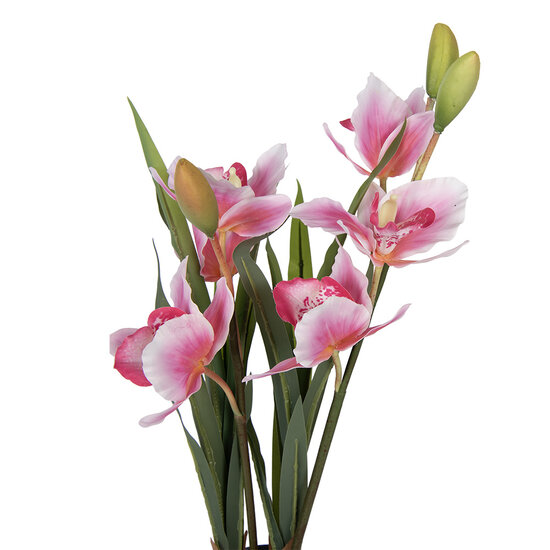 Clayre &amp; Eef   | Kunstplant Cattleya Hybrida Roze Groen 14x14x55 cm | 5PL0209