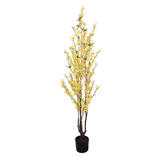 Clayre &amp; Eef   | Kunstplant Forsythia Geel Bruin 20x20x125 cm | 5PL0215