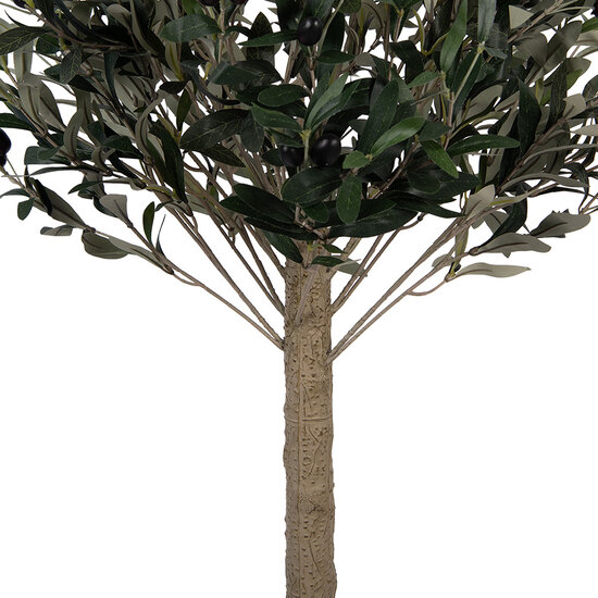 Clayre &amp; Eef   | Decoratie Olijfboom Groen Bruin 45x45x120 cm | 5PL0224
