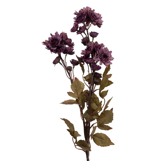 Clayre &amp; Eef   | Decoratie tak met bloemen Paars Groen 6x10x80 cm | 5PL0272PA