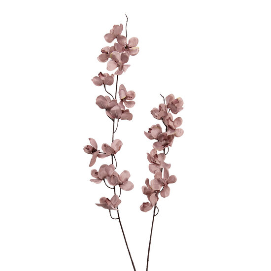 Clayre &amp; Eef   | Decoratie tak met bloemen Roze Bruin 10x10x110 cm | 5PL0274P