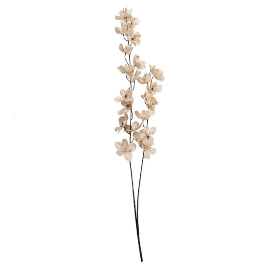 Clayre &amp; Eef   | Decoratie tak met bloemen Beige Bruin 10x10x110 cm | 5PL0274W