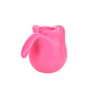 Gieter tulp licht roze | Bedankt dat u mij hielp groeien | Juf & Meester Cadeau 3