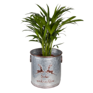 Clayre & Eef | Bloempotten Binnen Set van 3 Grijs ø 33x31 / ø 30x29 / ø 27x27 cm | 6Y4452