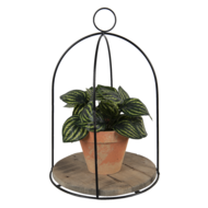 Planthouder ø 28*41 cm Bruin | 64944 | Clayre & Eef 2