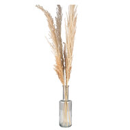 Clayre & Eef | Vazen glas Transparant ø 11x34 cm | 6GL4271