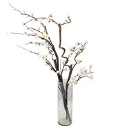 Clayre & Eef | Vazen glas Transparant ø 10x30 cm | 6GL4297