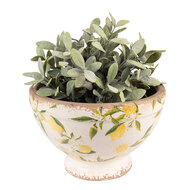 Clayre & Eef | Bloempot Binnen Geel, Beige ø 21x14 cm | 6CE1536M
