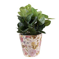 Clayre & Eef | Bloempot Binnen Roze, Beige ø 14x13 cm | 6CE1562S