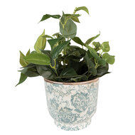 Clayre & Eef | Bloempot Binnen Groen ø 21x20 cm | 6CE1574L