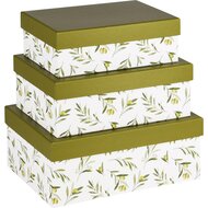 Dekoratief | Set 3 dozen rechthoek 'Olives', karton, 26x18x10cm | A240222