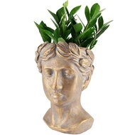 Dekoratief | Bloempot hoofd 'Caesar', grijs, magnesium, 23x22x31cm | A240916