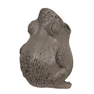 Clayre & Eef | Bloempot Kikker Binnen Grijs 19x18x23 cm | 6PR5059