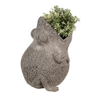 Clayre & Eef | Bloempot Kikker Binnen Grijs 26x25x32 cm | 6PR5060