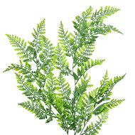 Clayre & Eef | Decoratie tak Groen 15x5x80 cm | 5PL0071