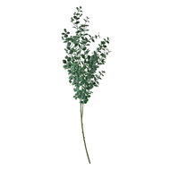 Clayre & Eef | Decoratie tak Groen 8x3x70 cm | 5PL0084