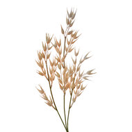 Clayre & Eef | Decoratie tak Bruin 6x6x72 cm | 5PL0059