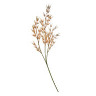 Clayre & Eef | Decoratie tak Bruin 6x6x72 cm | 5PL0059