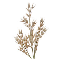 Clayre & Eef | Decoratie Tak Beige Bruin 15x2x72 cm | 5PL0061