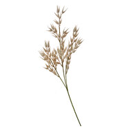 Clayre & Eef | Decoratie Tak Beige Bruin 15x2x72 cm | 5PL0061