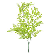 Clayre & Eef | Decoratie tak Groen 15x5x80 cm | 5PL0070