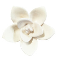 Clayre & Eef | Deurknop Bloem Beige ø 5x4 cm | 61916