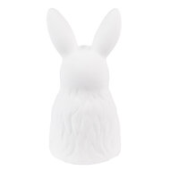 Clayre & Eef | Decoratie beeld Konijn Wit, Goudkleurig 11x11x21 cm | 6CE1525
