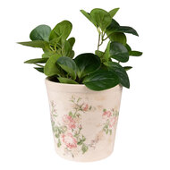 Clayre &amp; Eef   | Bloempot Binnen Roze Beige &oslash; 15x14 cm | 6CE1544M