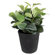 Clayre & Eef | Bloempot Binnen Grijs ø 16x16 cm | 6CE1579L