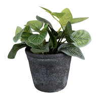 Clayre & Eef | Bloempot Binnen Grijs ø 12x10 cm | 6CE1579M