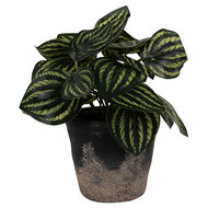 Clayre & Eef | Bloempot Binnen Zwart Bruin ø 12x11 cm | 6CE1719S