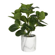 Clayre & Eef | Kunstbloem Groen 31x31x32 cm | 6PL0218