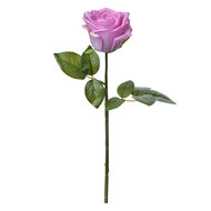 Clayre & Eef | Kunstbloem Paars Groen 8x8x44 cm | 6PL0273