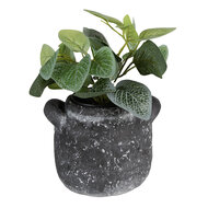 Clayre & Eef | Bloempot Grijs 17x15x13 cm | 6TE0469L