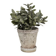 Clayre & Eef | Bloempot Binnen Beige ø 13x14 cm | 6TE0503L