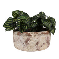 Clayre & Eef | Bloempot Binnen Beige ø 23x11 cm | 6TE0529L