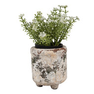 Clayre & Eef | Bloempot Binnen Beige Groen ø 9x10 cm | 6TE0525S