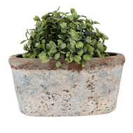 Clayre & Eef | Bloempot Binnen Beige 19x11x10 cm | 6TE0528M