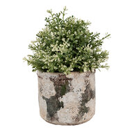 Clayre & Eef | Bloempot Binnen Beige Groen ø 17x15 cm | 6TE0516L