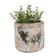 Clayre & Eef | Bloempot Binnen Beige Groen ø 12x11 cm | 6TE0516S