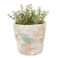 Clayre & Eef | Bloempot Binnen Beige Groen ø 11x11 cm | 6TE0531S