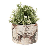 Clayre & Eef | Bloempot Binnen Beige Groen ø 18x11 cm | 6TE0539L