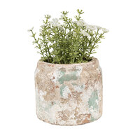 Clayre & Eef | Bloempot Binnen Beige Groen ø 11x9 cm | 6TE0539S