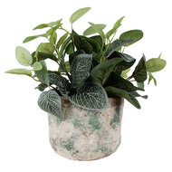 Clayre & Eef | Bloempot Binnen Beige Groen ø 18x15 cm | 6TE0530L