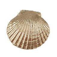 Clayre & Eef | Deurknop Goudkleurig 6x4x6 cm / S3 cm | 65732